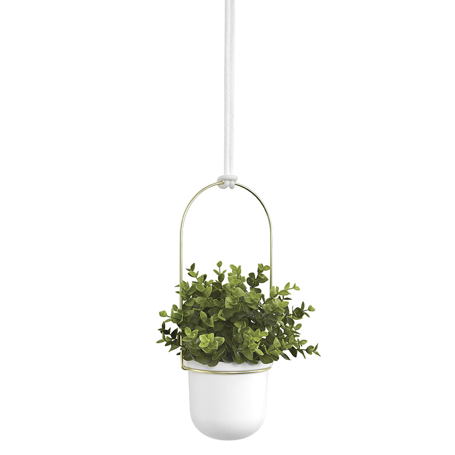 Umbra Дисплей с горшками для растений triflora подвесной белый-латунь | https://grandposuda.com.ua