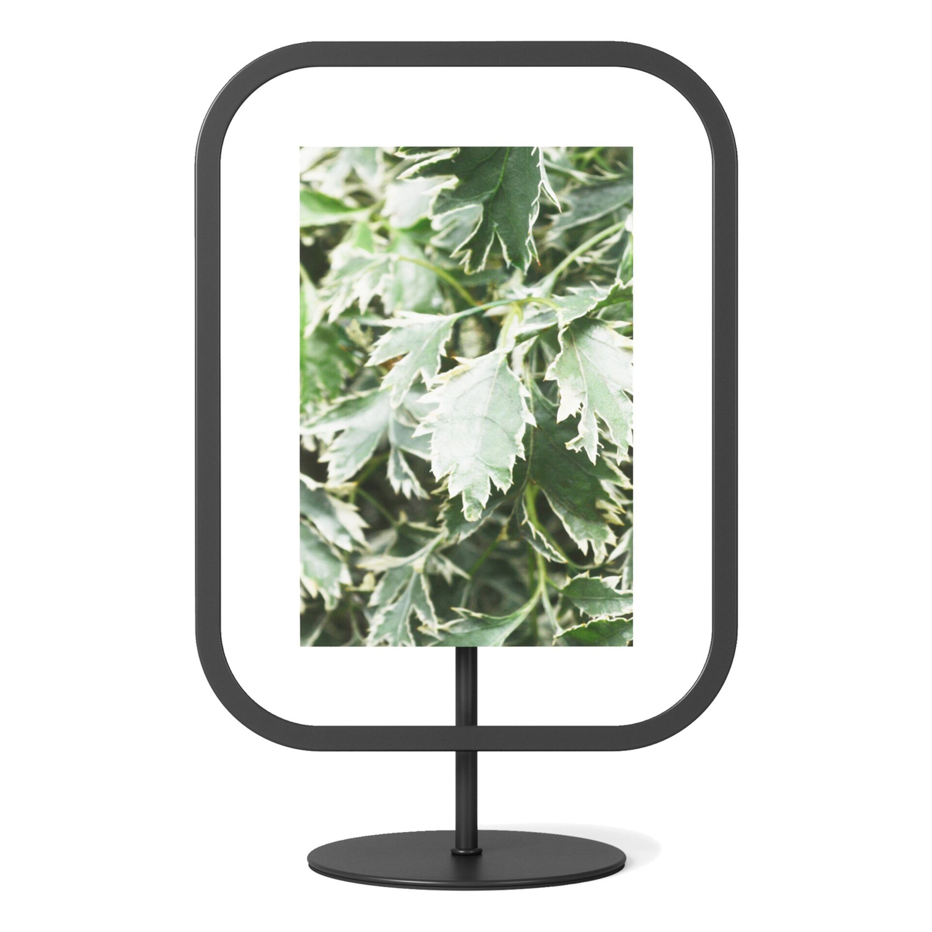 Umbra Фоторамка 22 х 10 х 27 см черная Infinity Sqround | https://grandposuda.com.ua
