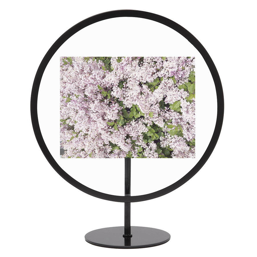 Umbra Фоторамка infinity 10 x 15 см черная | https://grandposuda.com.ua