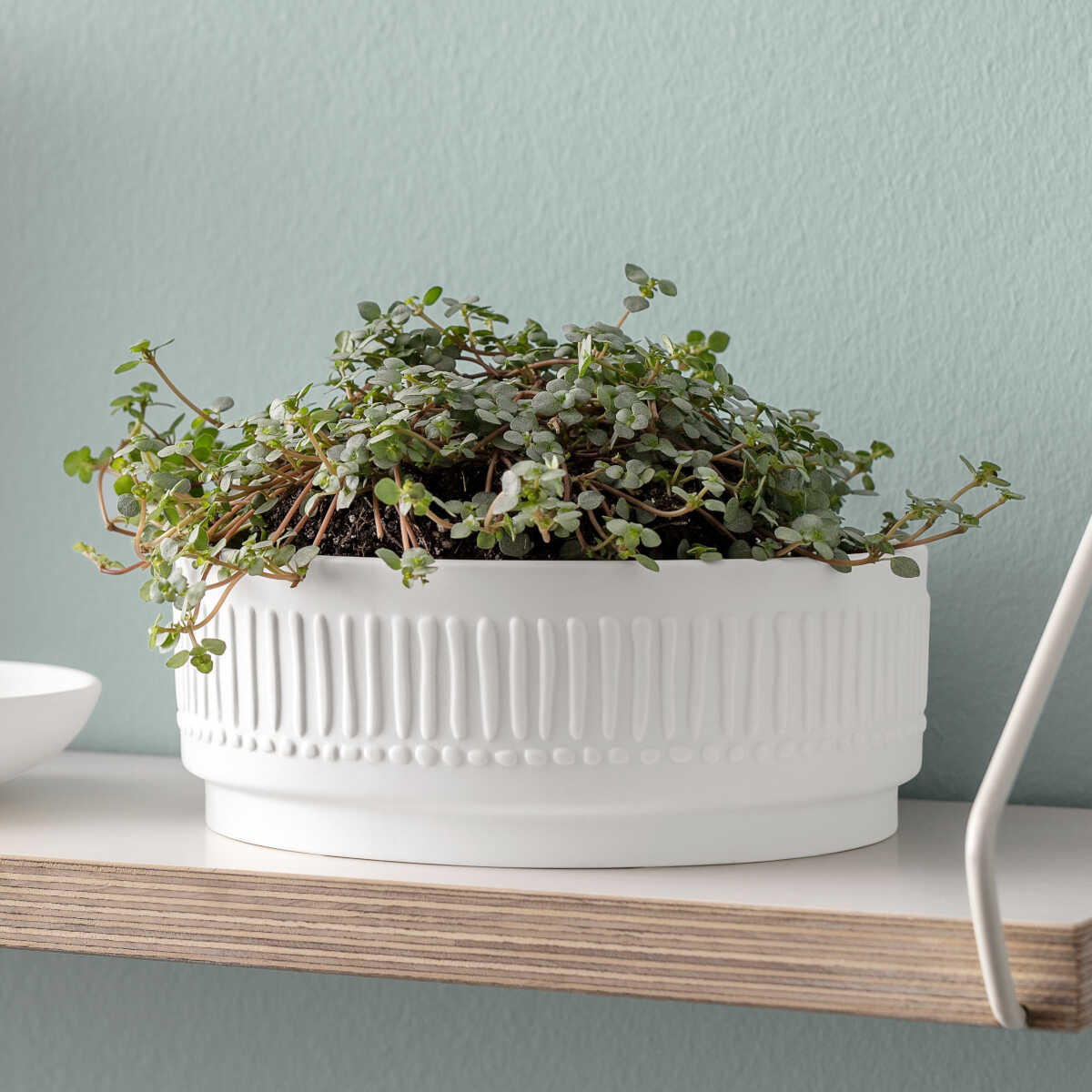 Villeroy & Boch Горшок для растений 17 х 6 см 1,1 л белый it's my home | https://grandposuda.com.ua
