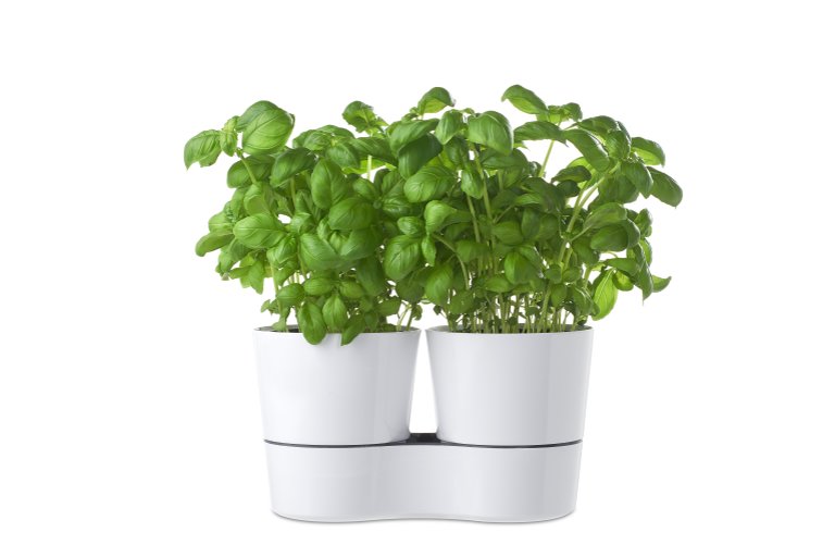 Mepal Двойной горшок для растений Hydro Herbs Grau | https://grandposuda.com.ua