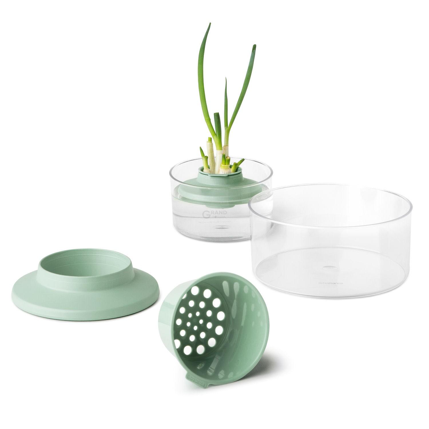 Brabantia Набір для повторного вирощування зелені 10х18х18 см Tasty Colours Plus | https://grandposuda.com.ua