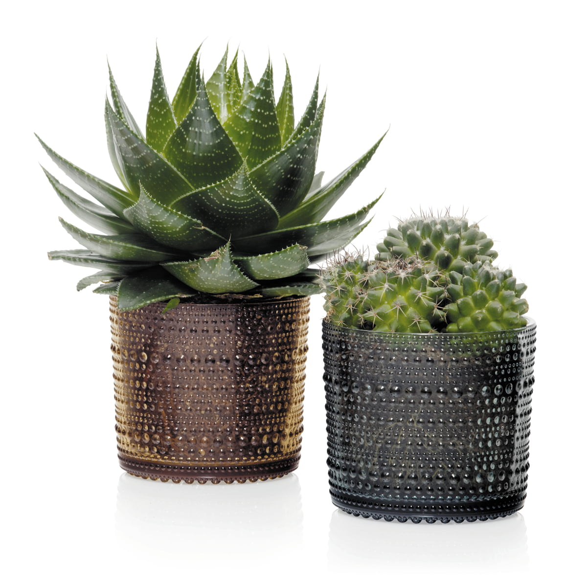 Iittala Емкость для хранения 5,7х11,6 см прозрачная Kastehelmi | https://grandposuda.com.ua