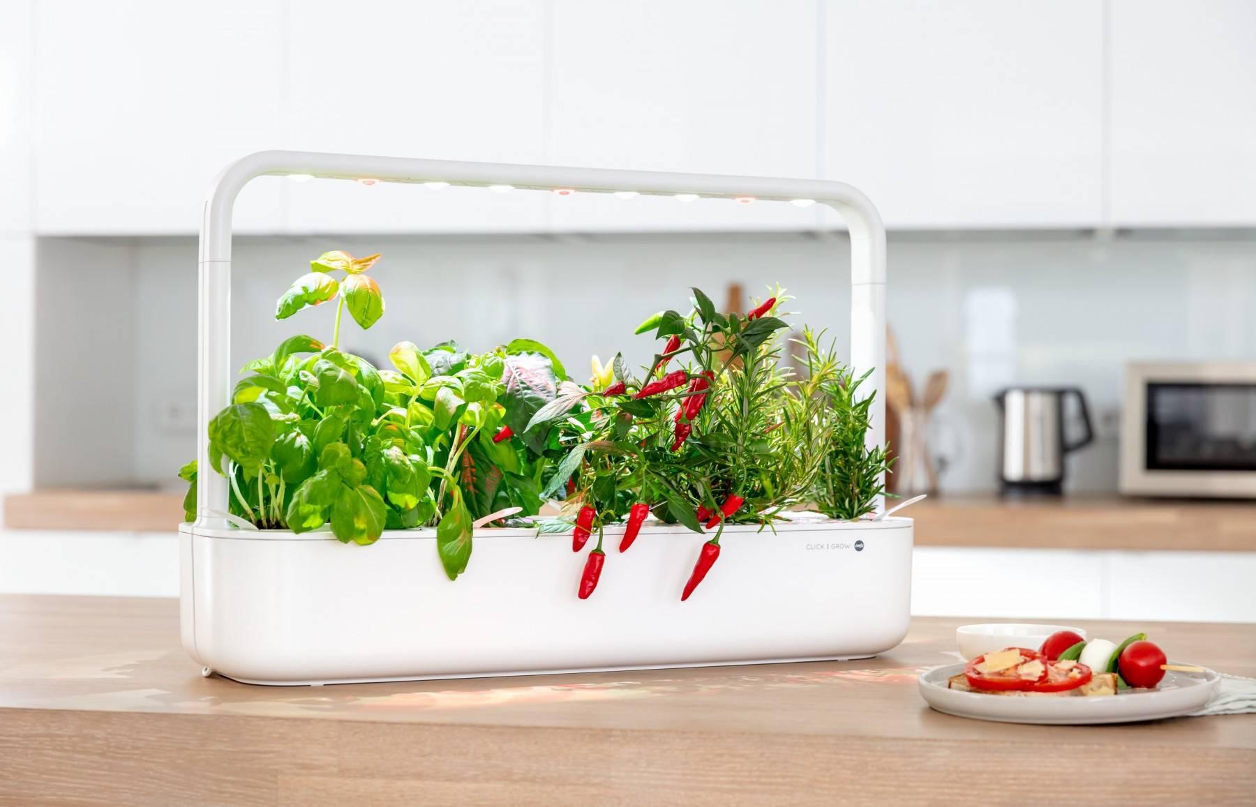 Горшок для растений 30х12х21 см серый Click & Grow Emsa | https://grandposuda.com.ua