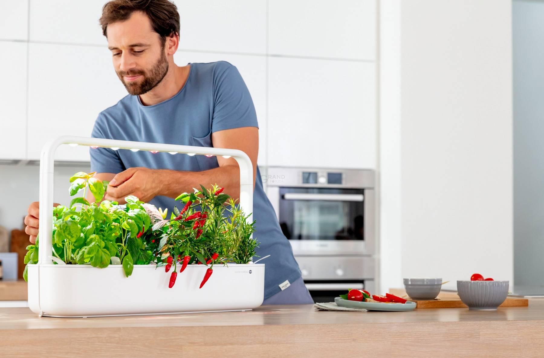Горшок для растений 30х12х21 см серый Click & Grow Emsa | https://grandposuda.com.ua