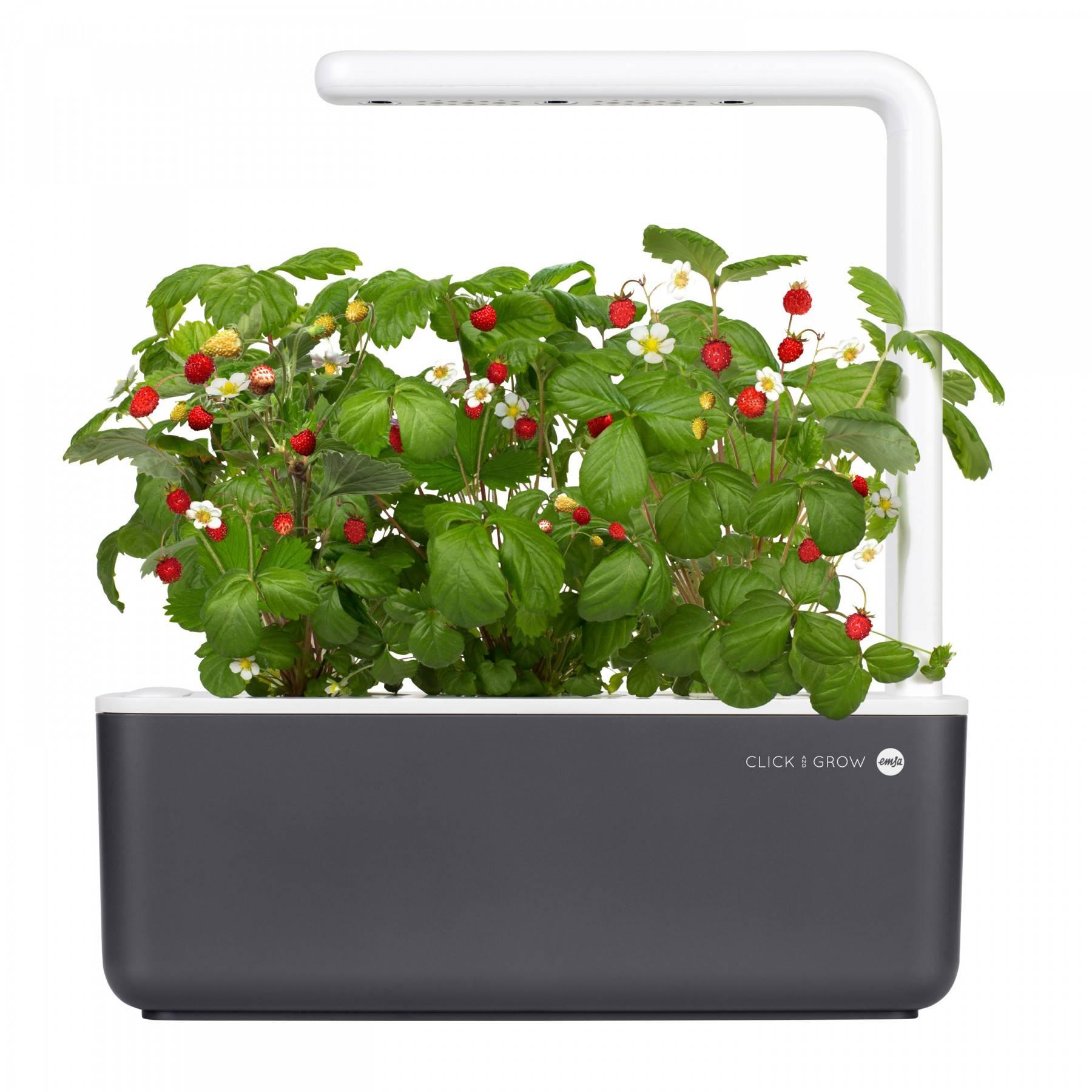 Горшок для растений 30х12х21 см серый Click & Grow Emsa | https://grandposuda.com.ua