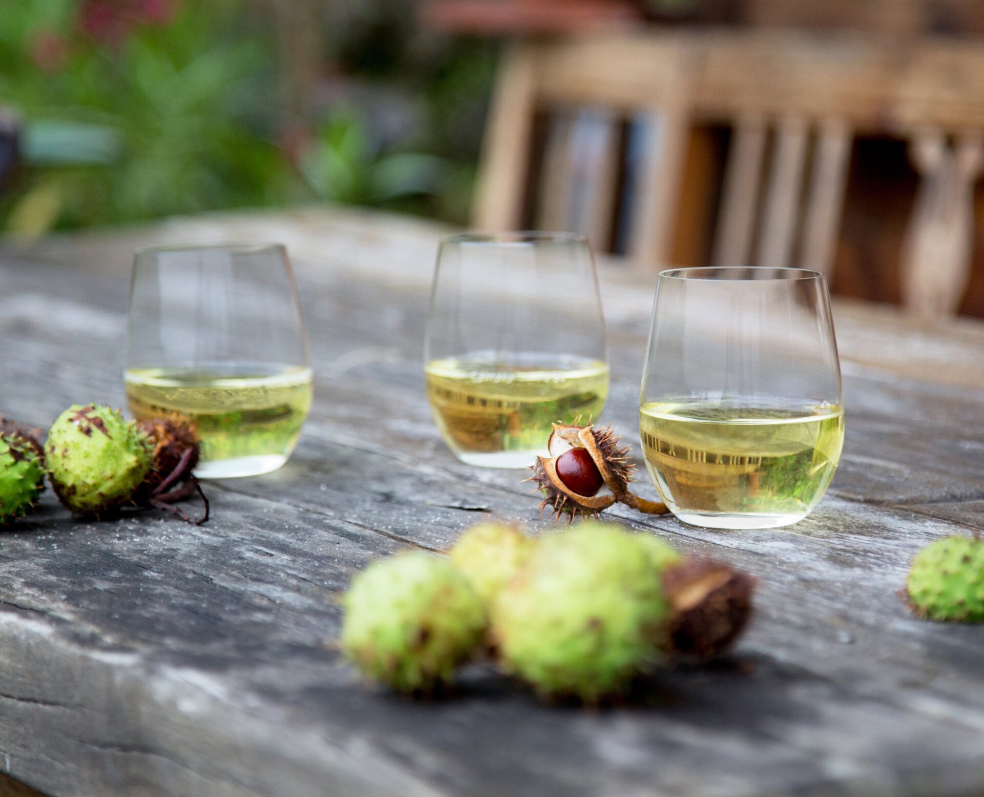 Riedel Набор бокалов для белого вина 6 предмета Viognier / Chardonnay O Wine Tumbler | https://grandposuda.com.ua