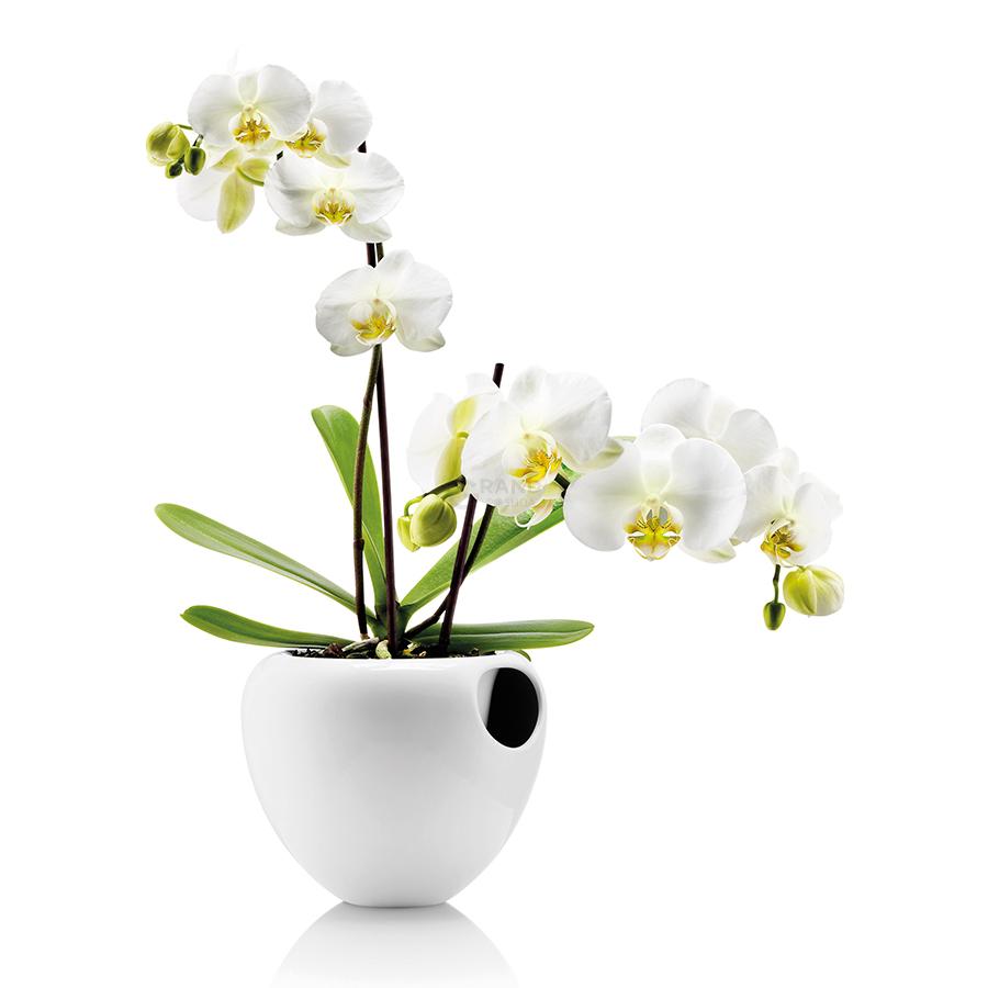 Eva Solo Горшок для орхидей 17 см белый Orchideentopf | https://grandposuda.com.ua