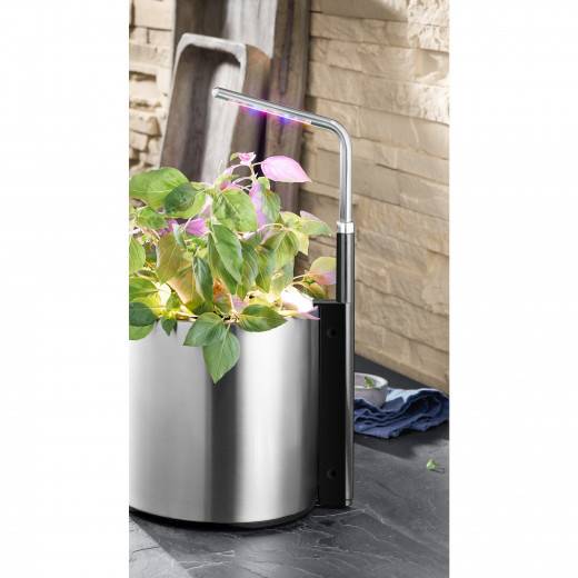 WMF Светильник для электрического горшка, 12 х 1.8 х 50 см Ambient | https://grandposuda.com.ua
