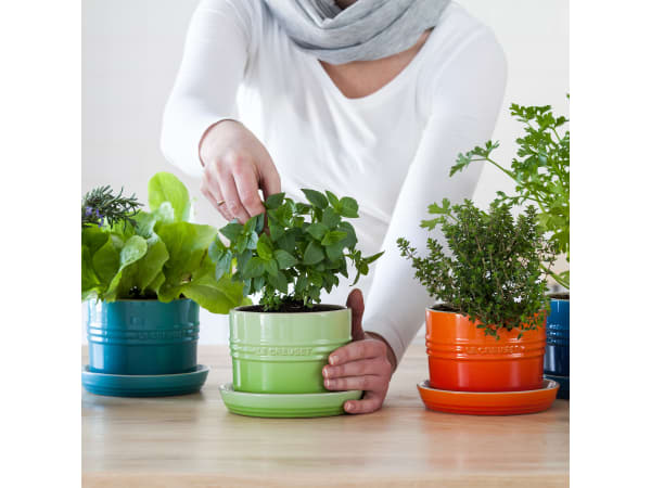 Le Creuset Горщик для кімнатних рослин 13 см червоний | https://grandposuda.com.ua