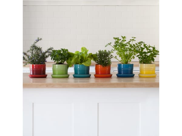 Le Creuset Горщик для кімнатних рослин 13 см Citrus | https://grandposuda.com.ua