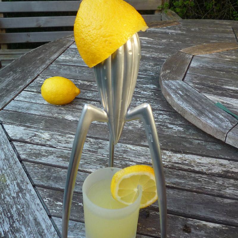 Alessi Соковыжималка 14x29 см металлик Juicy Salif | https://grandposuda.com.ua