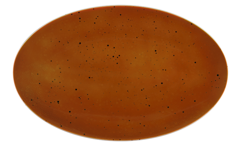 Seltmann Weiden Блюдо овальне 40 х 25.5 см Country Life Terracotta Coup Fine Dining | https://grandposuda.com.ua