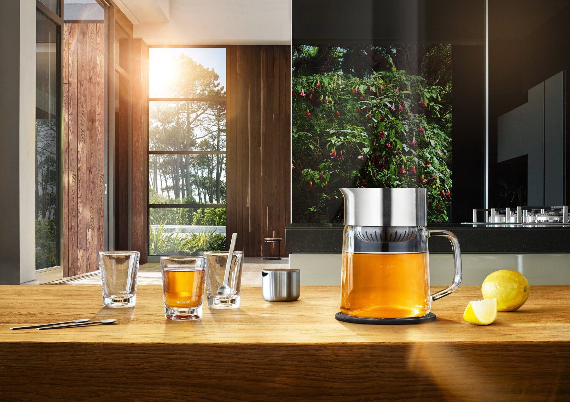 Blomus Заварочный чайник Tea-Jane | https://grandposuda.com.ua
