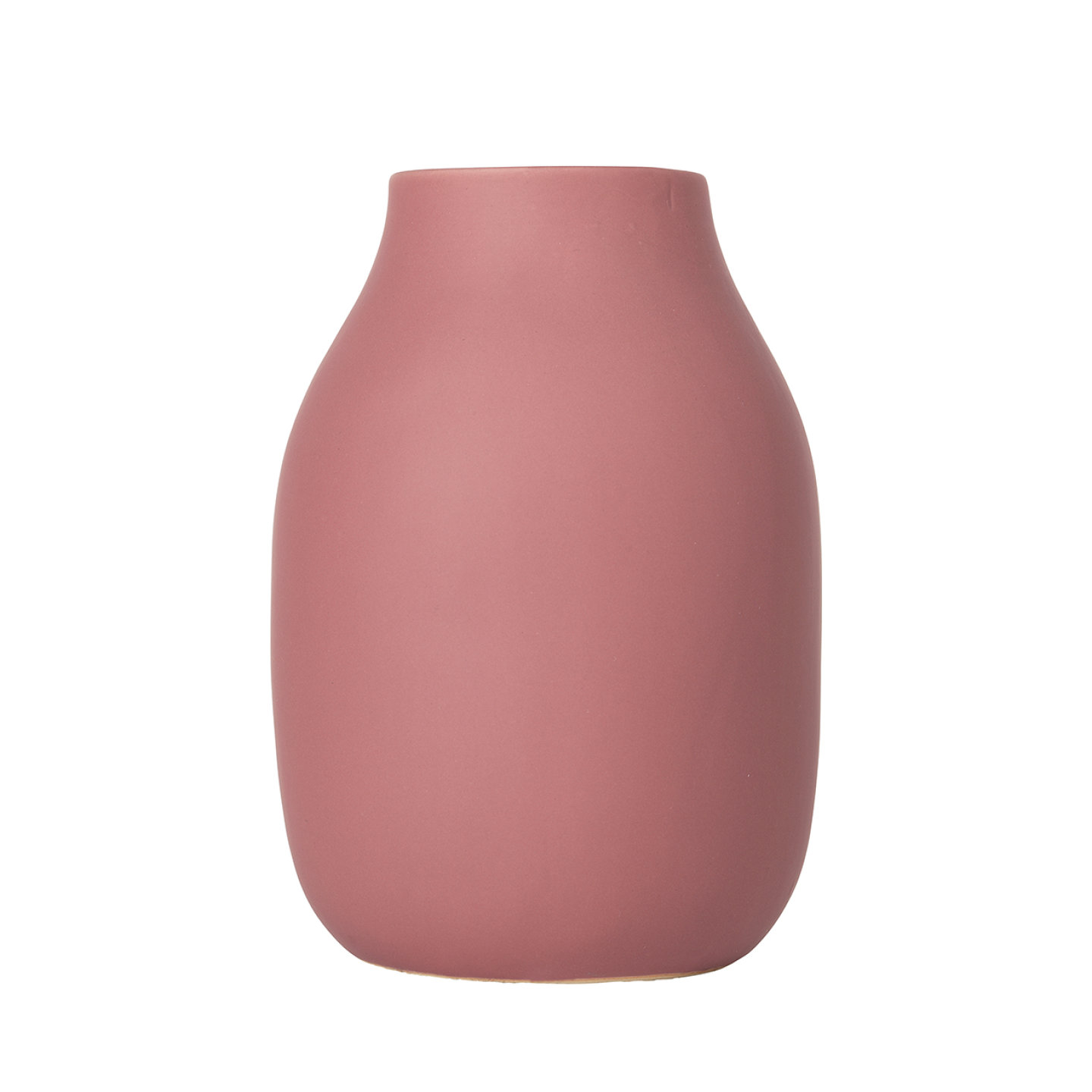 Blomus Ваза Withered Rose Colora, 20 см | https://grandposuda.com.ua