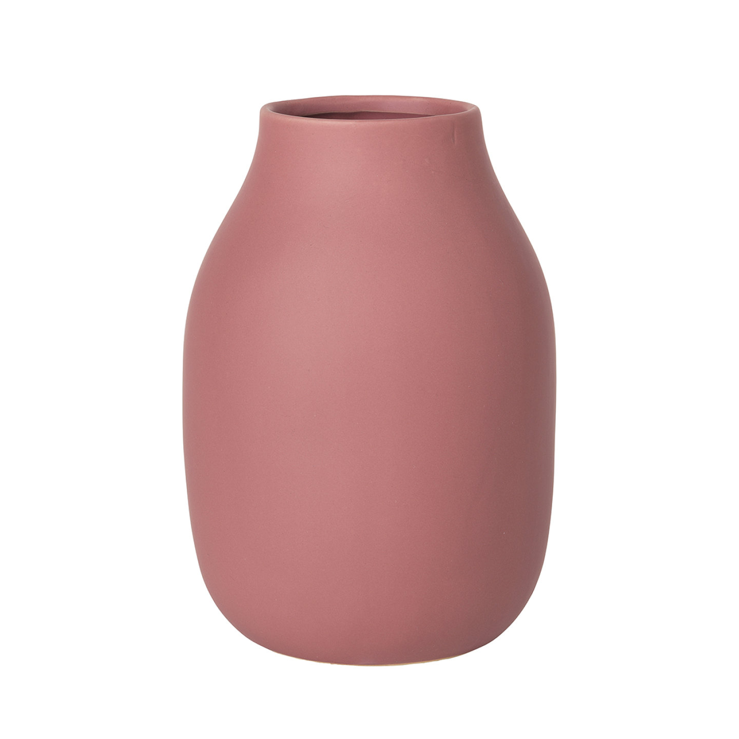 Blomus Ваза Withered Rose Colora, 20 см | https://grandposuda.com.ua